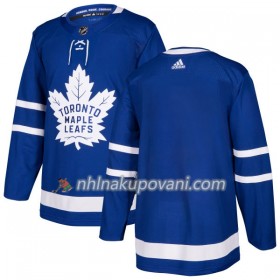Toronto Maple Leafs Dresy Blank Adidas 2017-2018 Modrá Authentic - Pánské